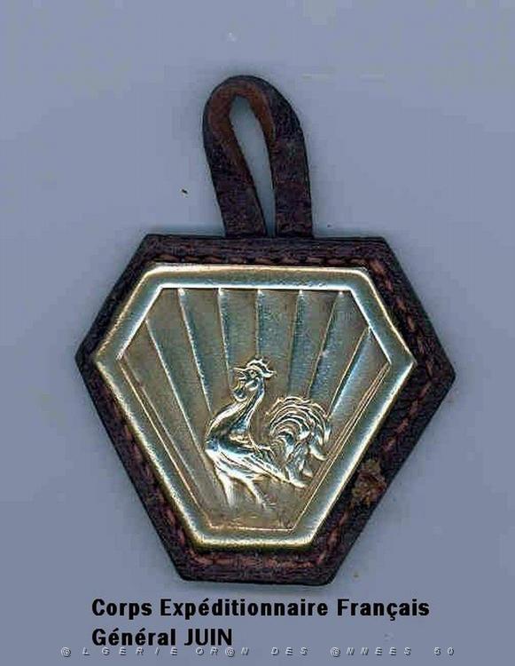 zx- Insigne du C.E.F (Armee Juin).jpg